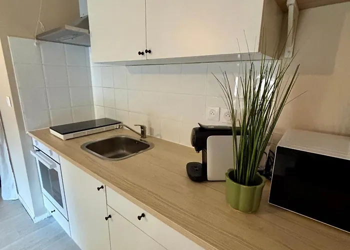 T2 Cosy Aeroport Toulouse Appartement *