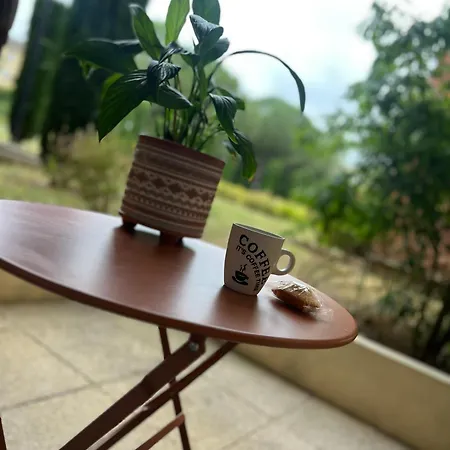 Daire T2 Cosy Aeroport Toulouse