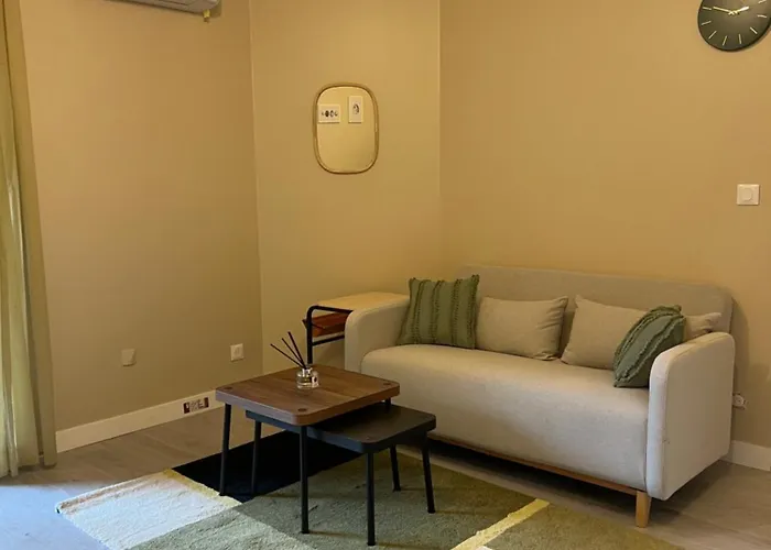 T2 Cosy Aeroport Toulouse *