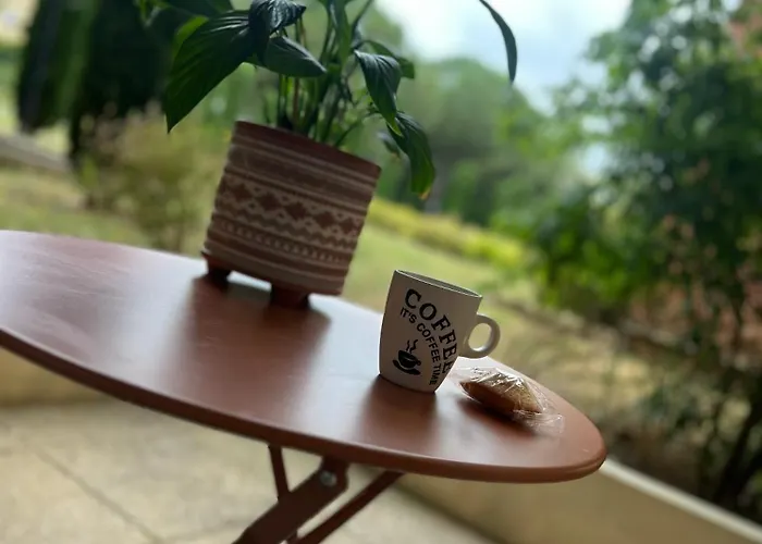 Daire T2 Cosy Aeroport Toulouse